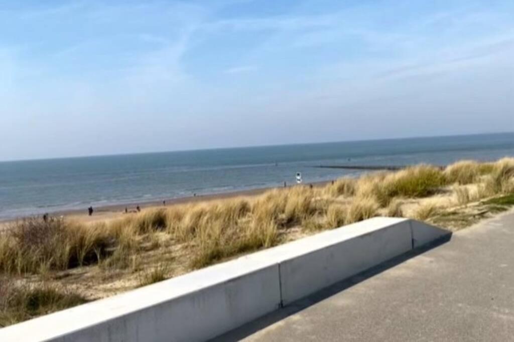 Kleines Haeuschen In Cadzand-Bad Ngoại thất bức ảnh